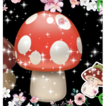 Mushroom gals