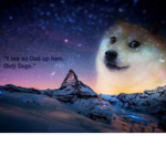 Doge universe group