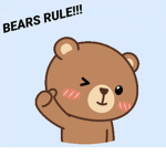 Bear Fantastic Group