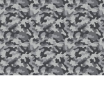 Roblox Private Military Community (R.P.M.C.)