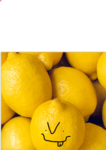 THE GRATE LEMON ARMY OF 2025 (LEMONS ONLEY)