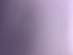 DILIA_146764
