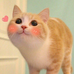 cherryskate