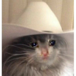 tHe CAca RAts......pewiod