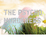 The Psycho Murderers