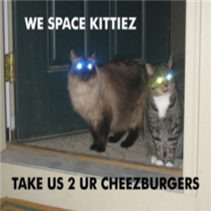 WE ARE SPACE KITTYS GIVE US CHEEZBURGERS Roblox decal