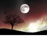 moonlight_canada moon