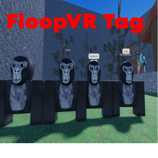 FloopVR runners!