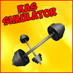 Kas Simulatör