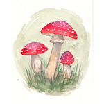 Mushroom Club!!