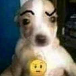Mathisergio