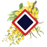 Thaiblox Culture