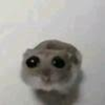 Chupachupsie
