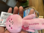 utan surprise