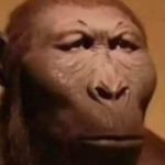 Just Monke