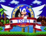 The sonic the hedgehog 2 group!