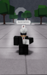 the official Bloxy Nation