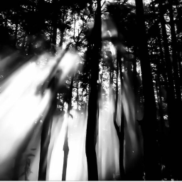 memory of past sins
