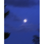 d̷̤͠ẹ̶͗ȁ̷̩t̷̮͘h̶̢̀