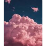 {~B r ok e n r o s e s~}