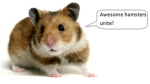 cheeky hampsters