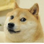 Doge United Bois