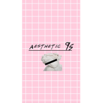 Aesthetic 95 / / 美 的