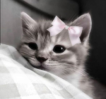 kawaii<3.