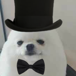 Tophat egg dog friend