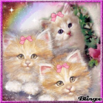 Pastel Candy Kitty Squad
