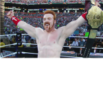 WTE PRO WRESTLING