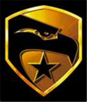 Hawks Of the 31st Black Opps