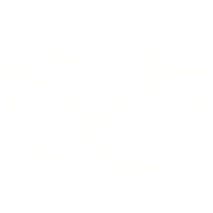 Emissive Angel Wings