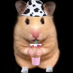 Hamster is our life