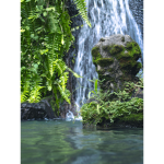 Waterfalls and hyper fan club