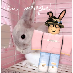 ~ become a clothes maker ~ tea woops! ~