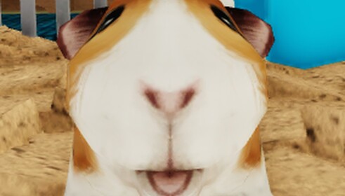 microwave your hamster at 3 am