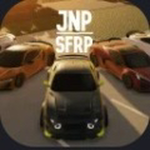 JNP Southwest Florida Rp