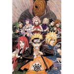 Equipo7