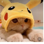 Noasrz123