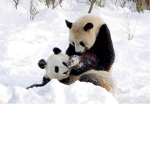 Cuties. :)