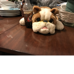 Doge master group :]