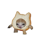 breadcatplayingsaxophone