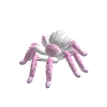 Tarantula Animated (White Pink)