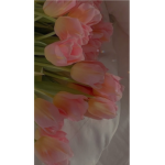 Maeve’s daisy’s