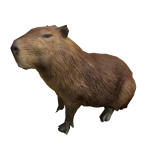 Capybara Head Buddy [Limited] 