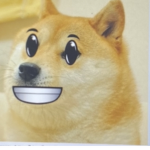 Doge life and friends