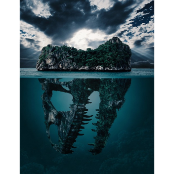 Primordia
