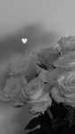 Mon groupe des coeur voila