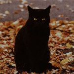 🎃